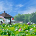 花漾水乡