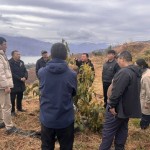 我县多部门联合开展金江农业专家工作站2025年第一期（牛油果）专题培训2025年6月17日
